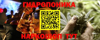 крисы Канаш