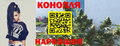 Альфа ПВП Камышлов