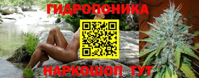 Альфа ПВП Камышлов