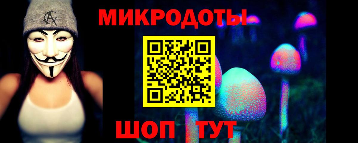 Псилоцибиновые грибы Cubensis Кисловодск